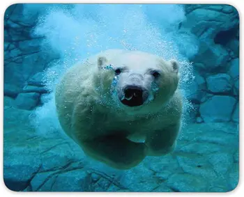 Коврик для мыши Polar Bears in The Water Нескользящий резиновый коврик для мыши-применяется для игр, домашнего школьного офисного коврика для мыши 9,5x7,9 дюйма