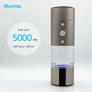 Генератор водородной воды BlueVida мощностью до 5000 л.с. До двухкамерной нанотехнологии DuPont SPE/PEM со светодиодным дисплеем Времени, мощности и ингалятором